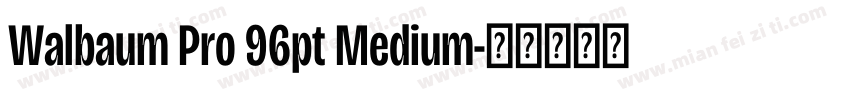 Walbaum Pro 96pt Medium字体转换